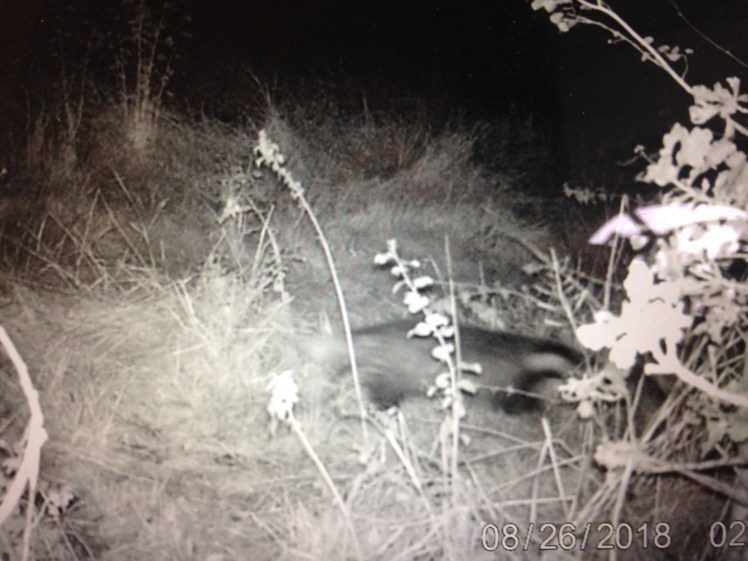 3312626054_e281d0af4e